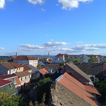 Amarilis Apartment Nowy Sad Zewnętrze zdjęcie